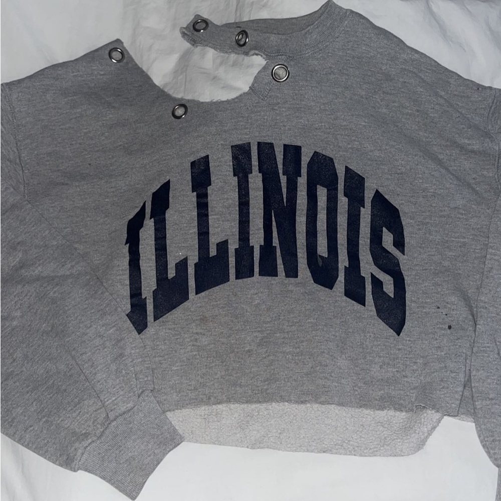 LF FURST OF A KIND ILLINOIS CROPPED SWEATSHIRT